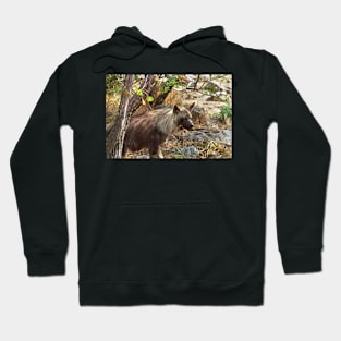 Brown Hyena, South Africa Hoodie